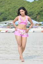 Payal Ghosh (Harika) in Bikini Swimwear Photoshoot on 30th May 2010 (52).JPG